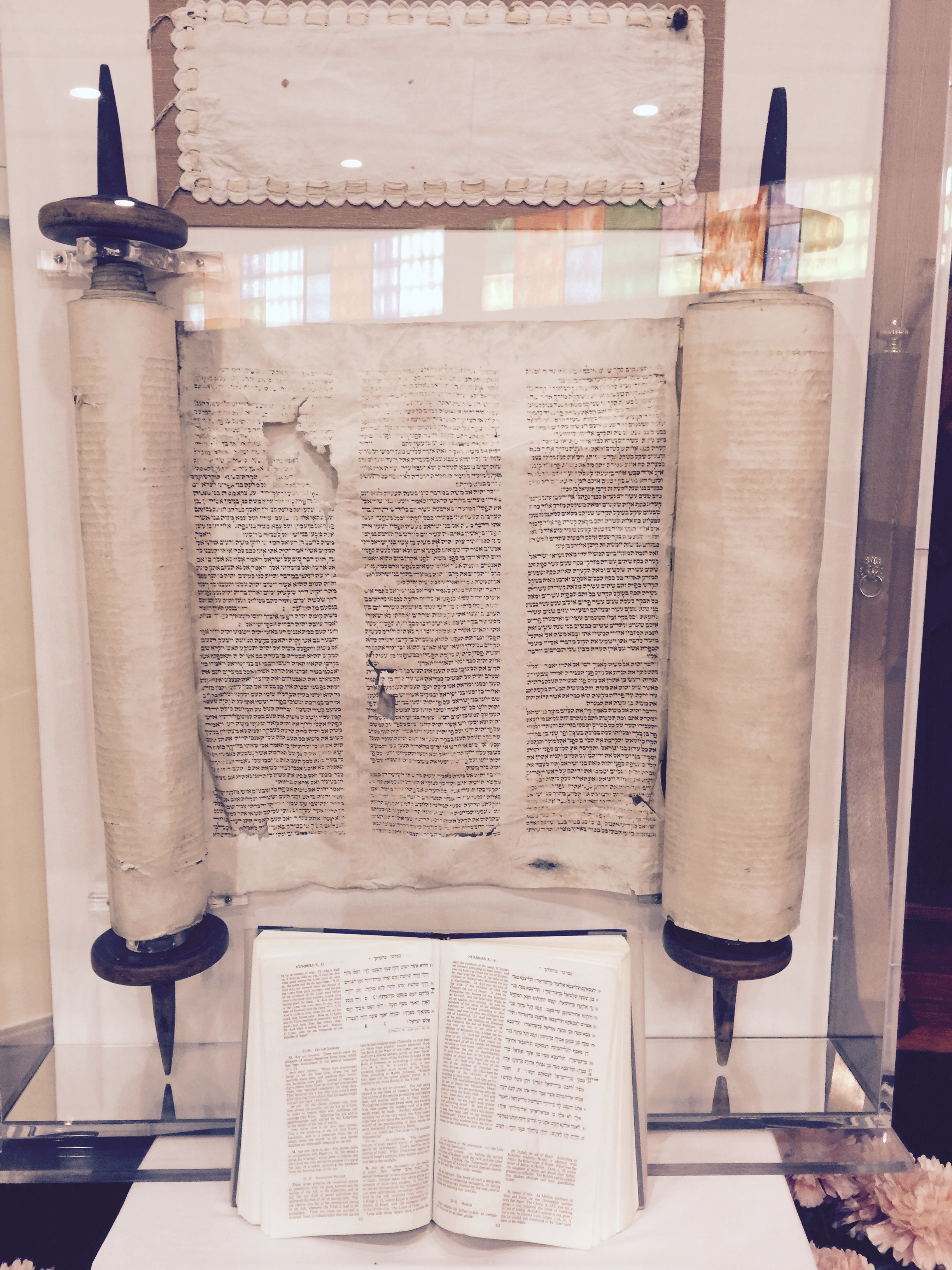 Torah Pribram2