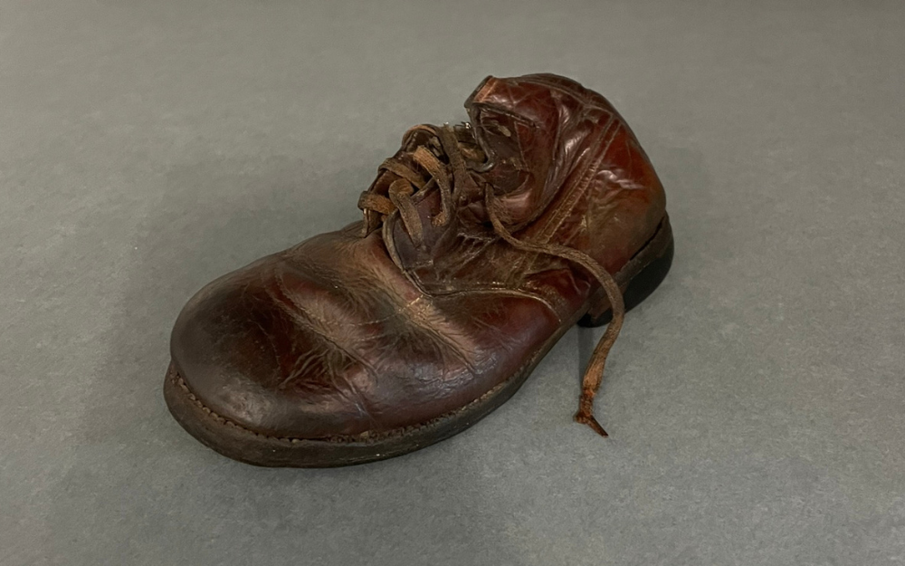 Auschwitz Collection